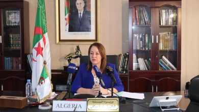 "سامية موالفي":إعداد 55دراسة لتهيئة المساحات الخضراء