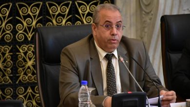 افتتاح أشغال هيئة المتابعة للجنة المشتركة العليا الجزائرية-المصرية